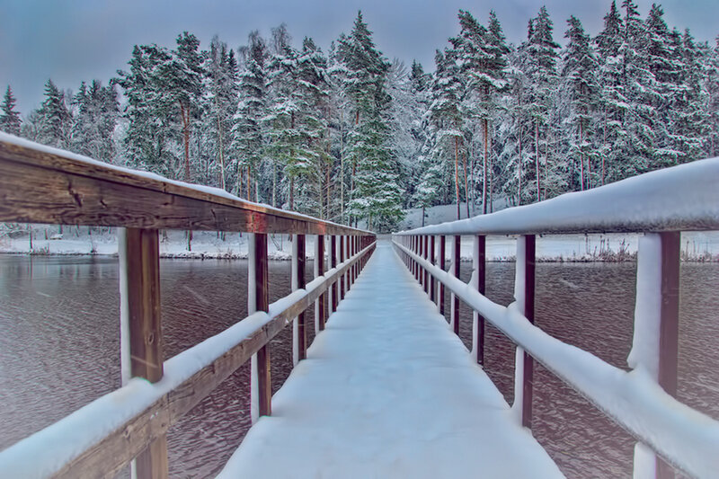Snow-covered Wooden Bridge — White, Serene, Winter