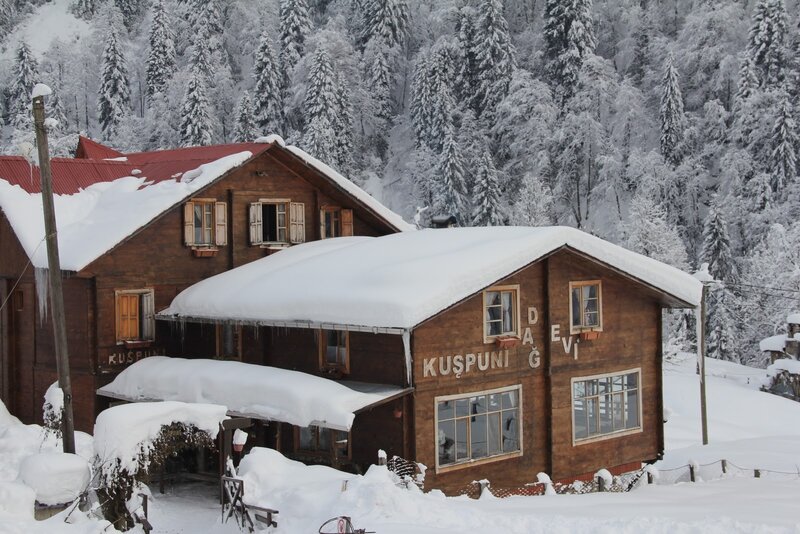Snow-covered wooden cabins in forest