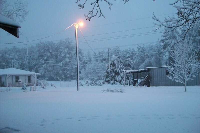 Snow-covered Yard at Night