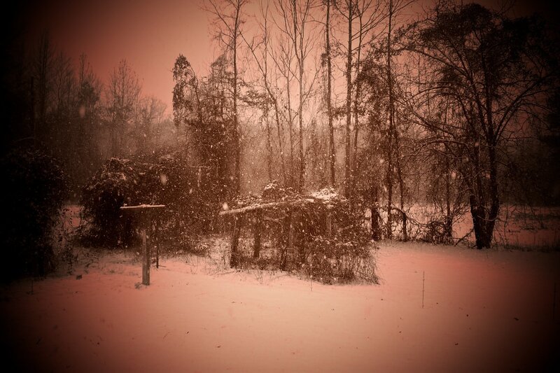 Snow-covered Yard — Red
