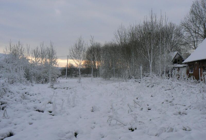Snow-covered Yard