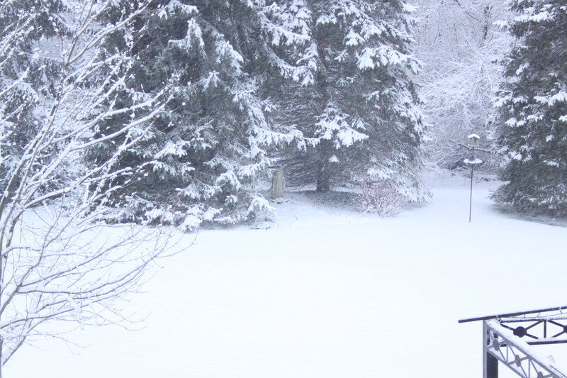 Snow-covered Yard — White, Calm