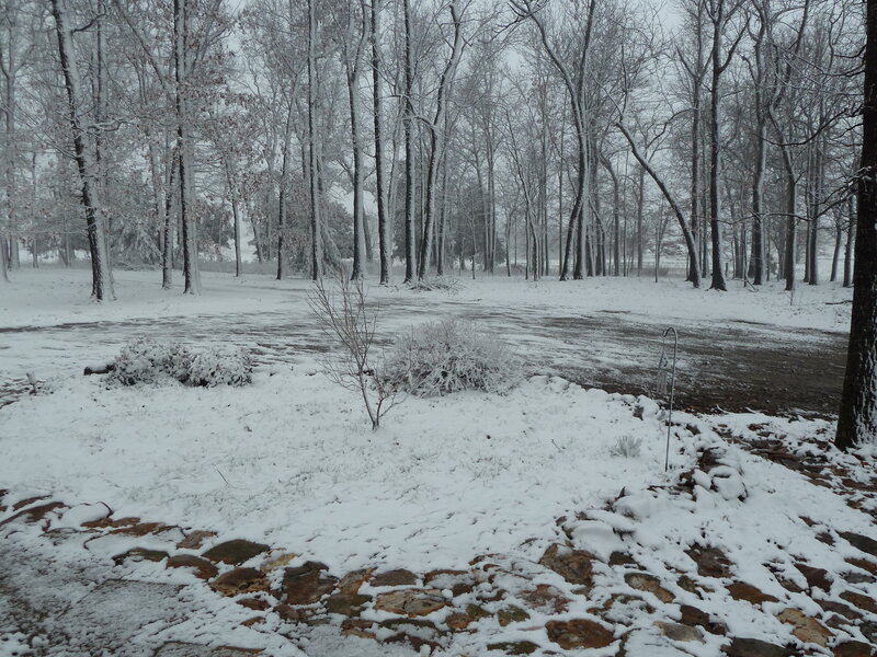 Snow-covered Yard — White, Calm, Winter, Photograph