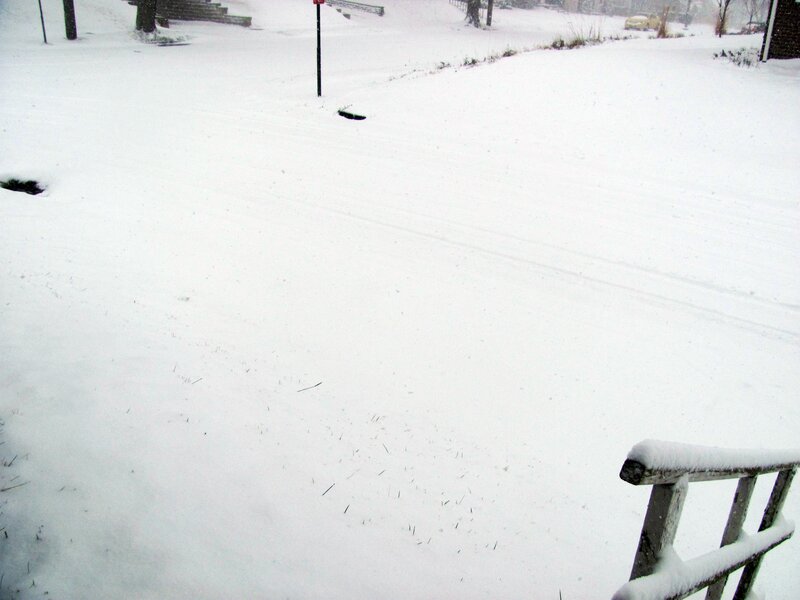 Snow-covered Yard — White, Calm, Winter
