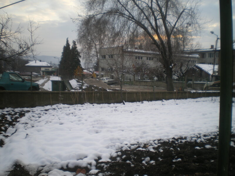 Snow-covered Yard — White, Overcast
