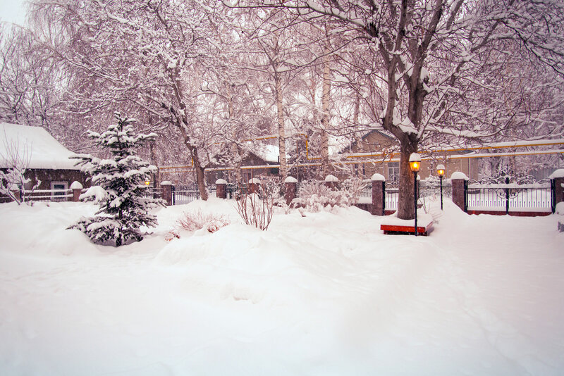 Snow-covered Yard — White, Serene