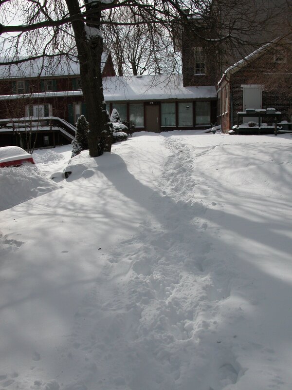 Snow-covered yard with footprints