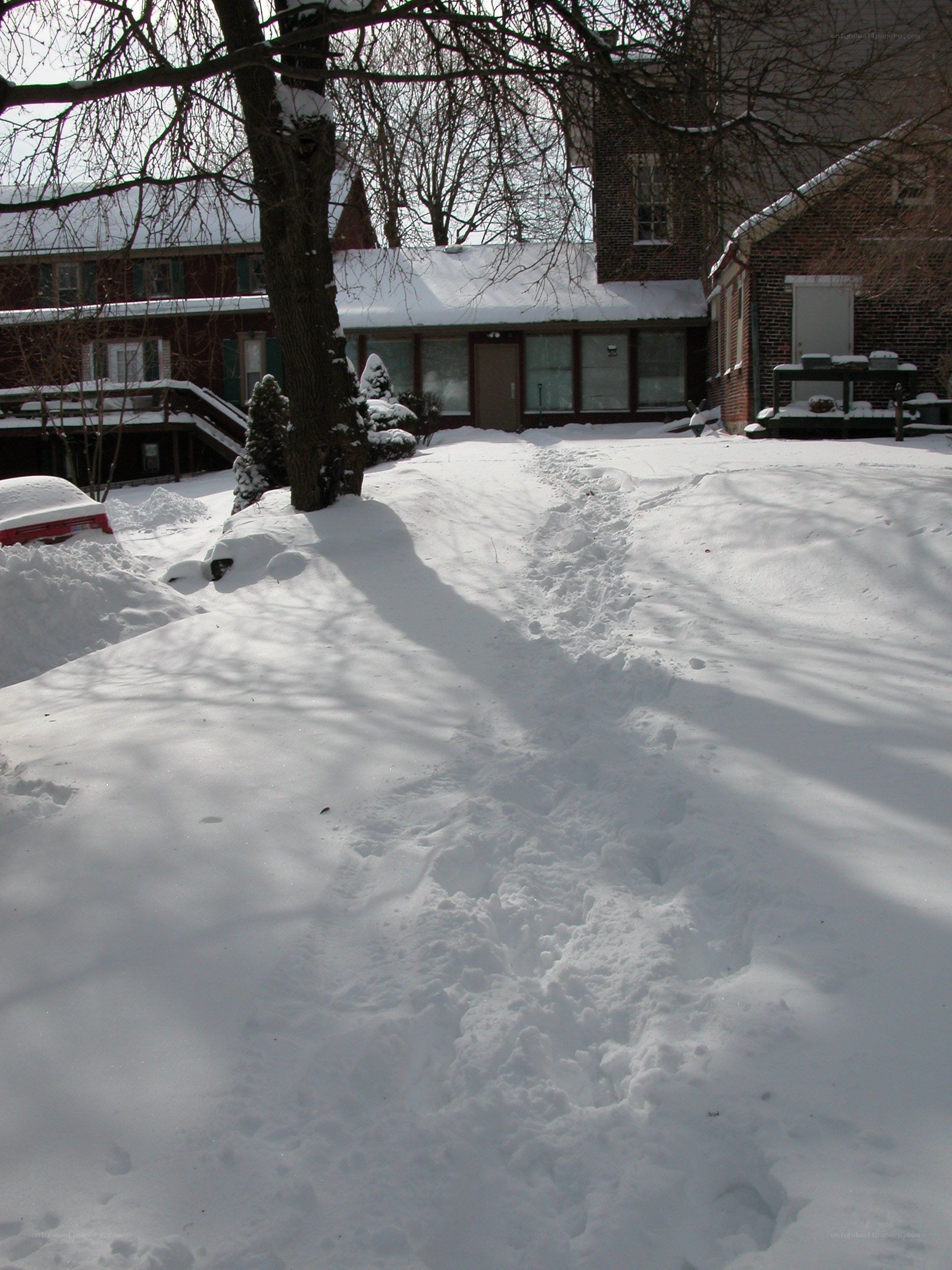Snow-covered yard with footprints