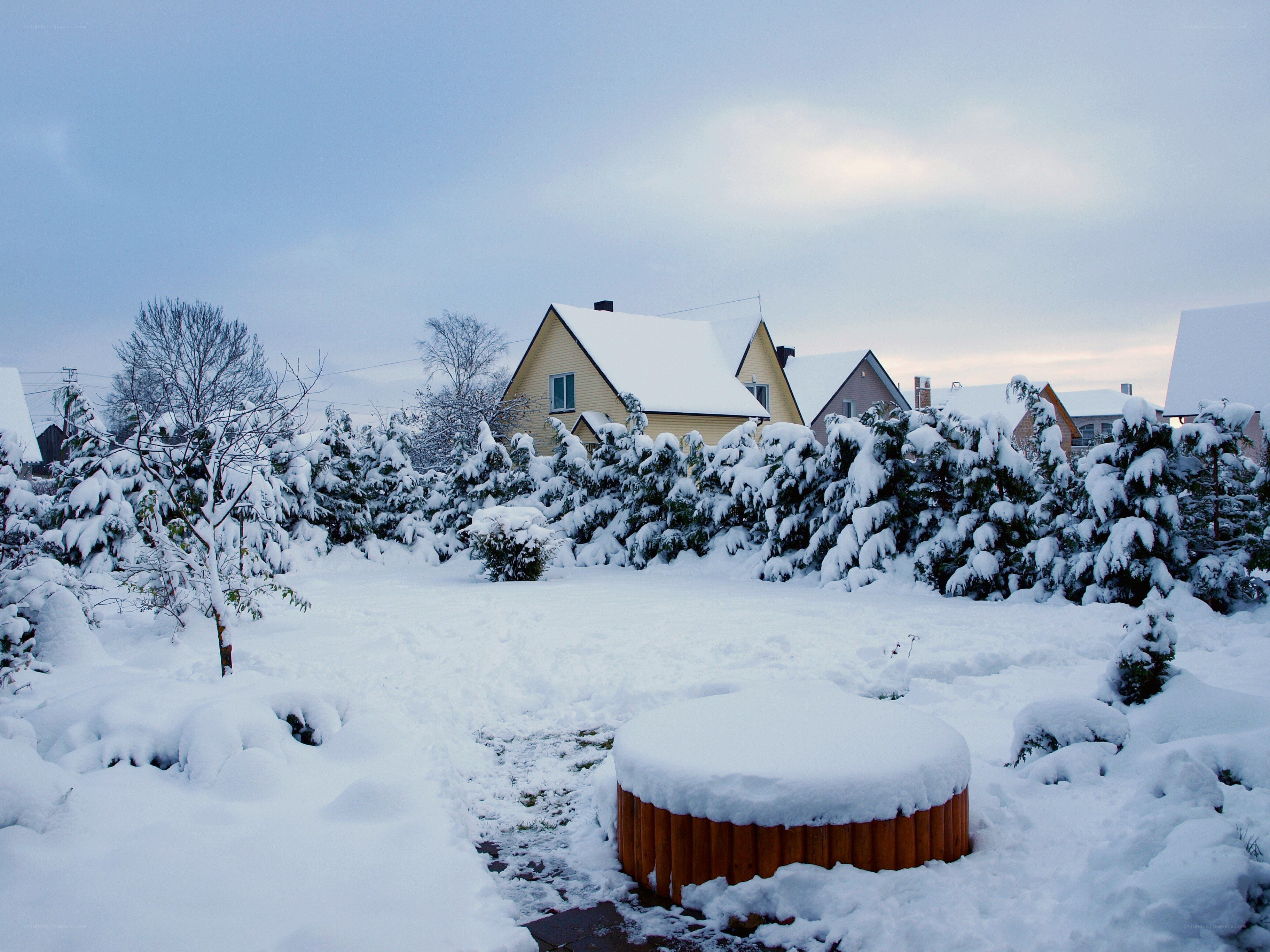 Snow-covered yard with houses