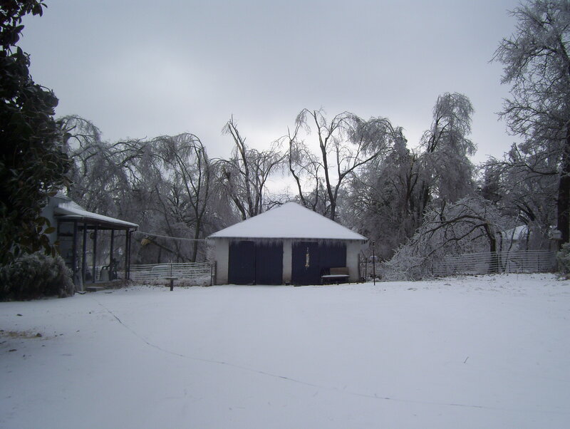Snow-covered yard with shed