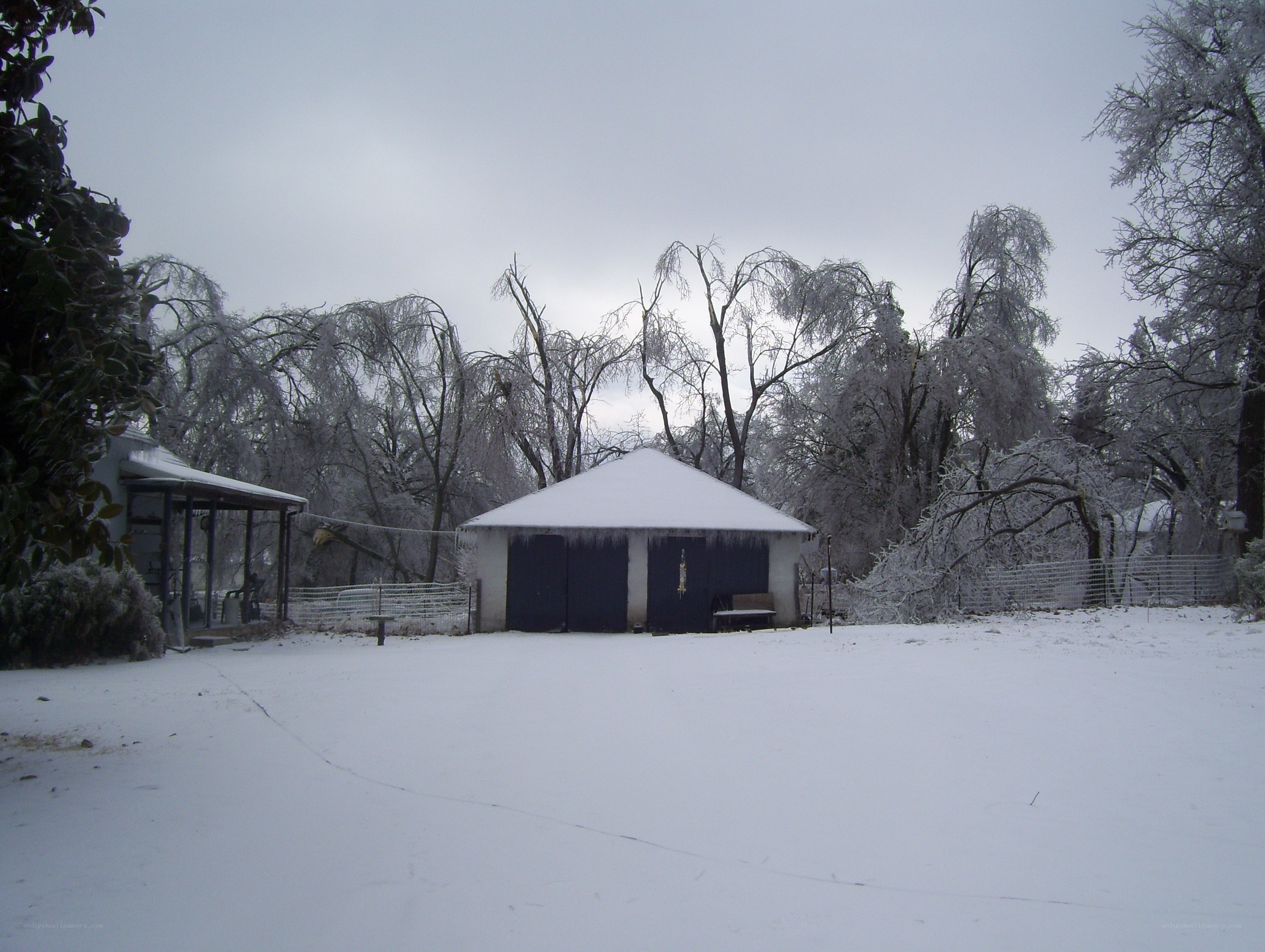 Snow-covered yard with shed
