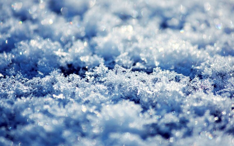 Snow Crystals in Snow