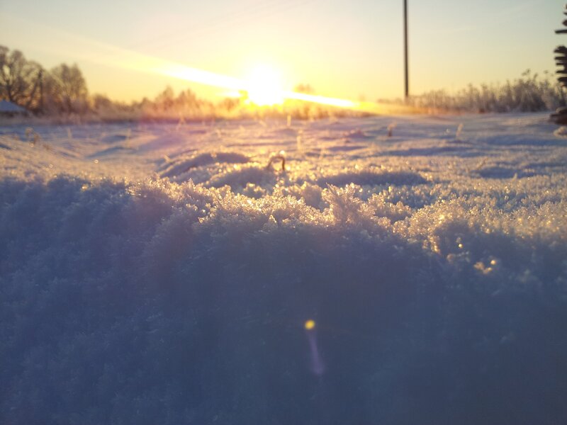 Snow Crystals in Sunlight — White