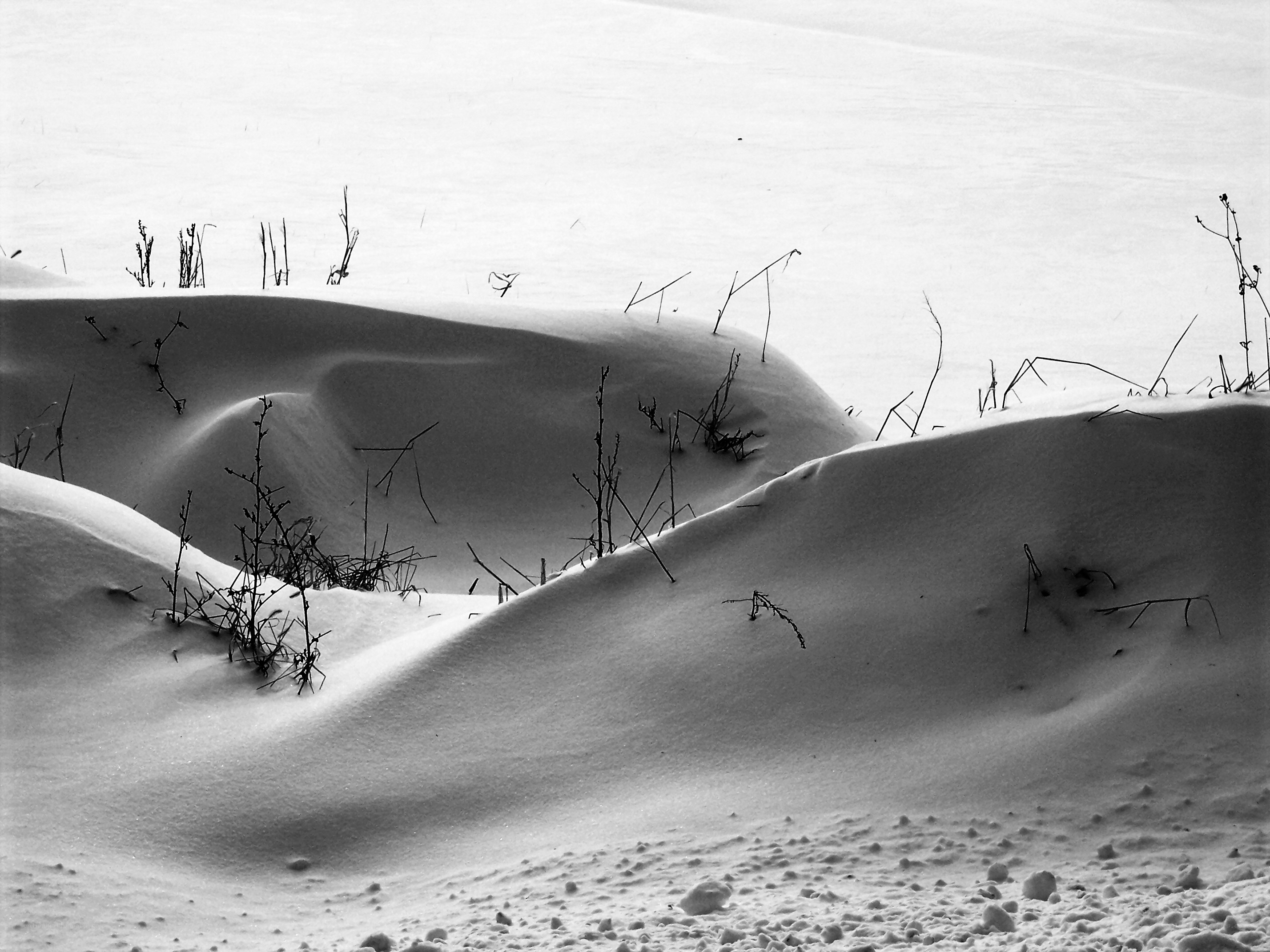 snow drifts with dry grass