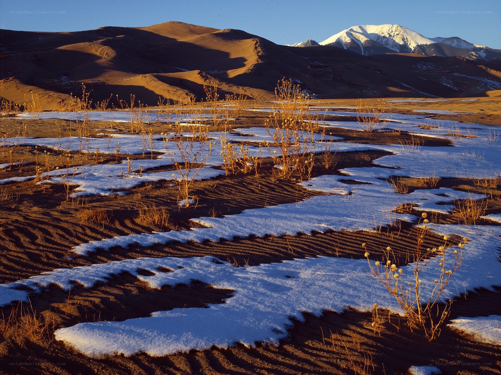 Snow-dusted dunes with mountains