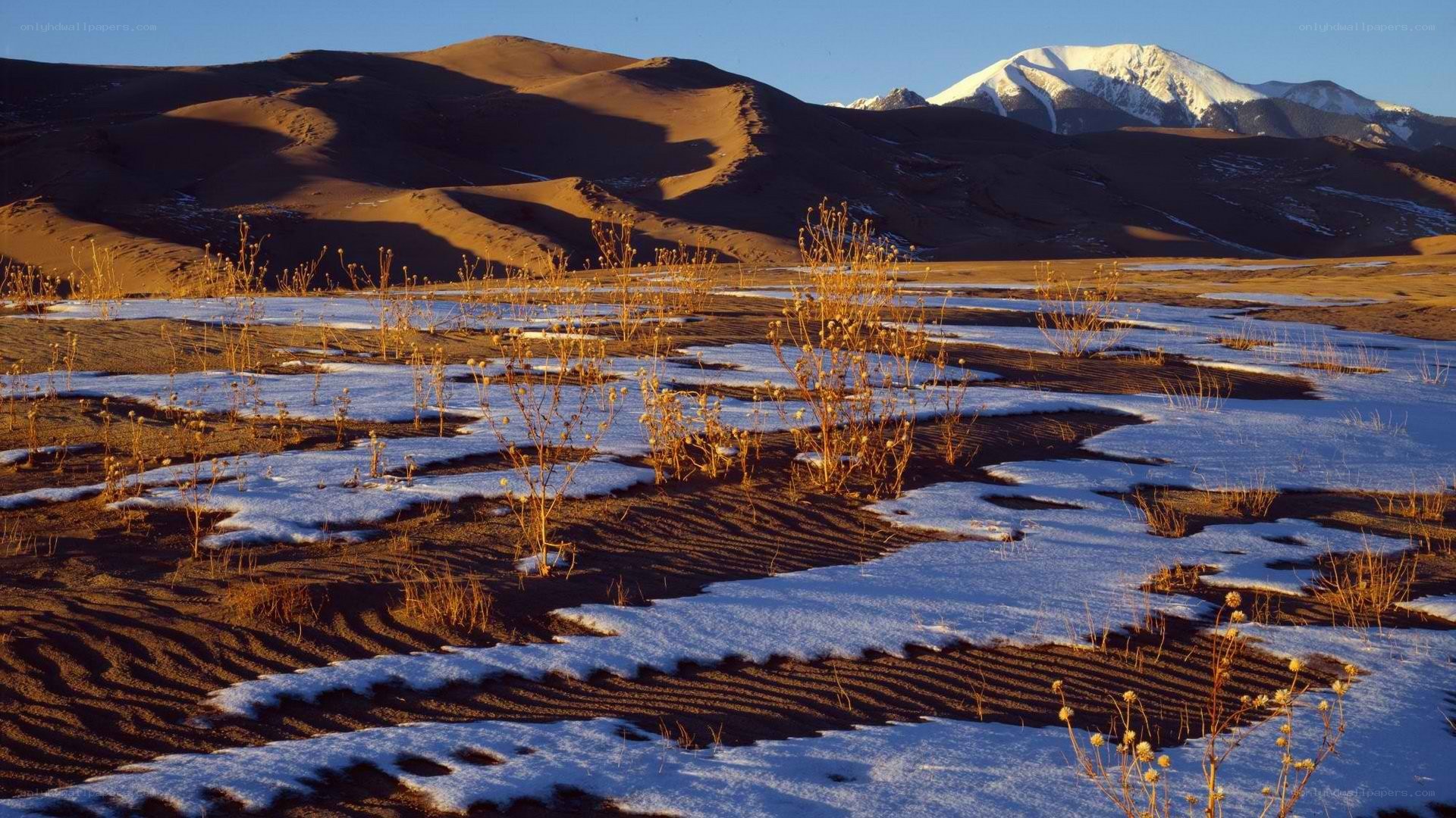 Snow-dusted dunes with mountains