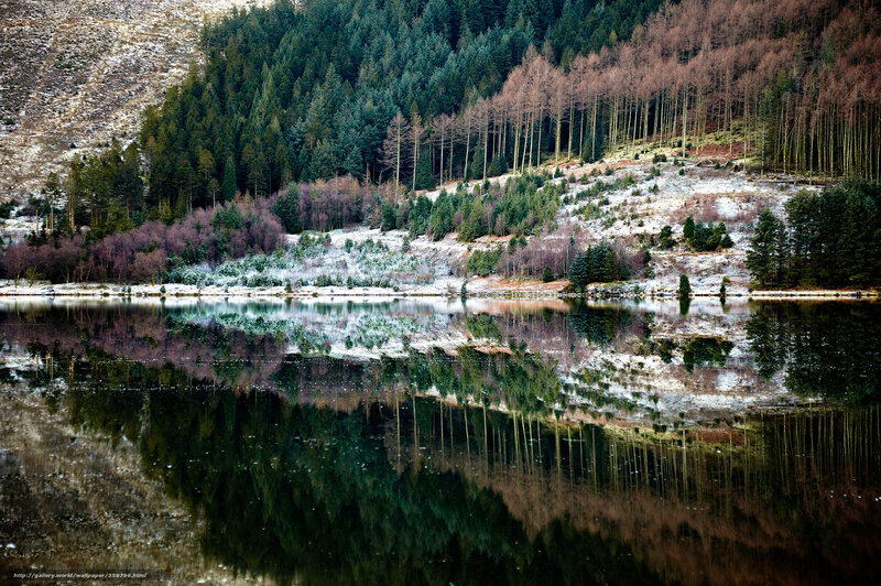 Snow-Dusted Forest Lake