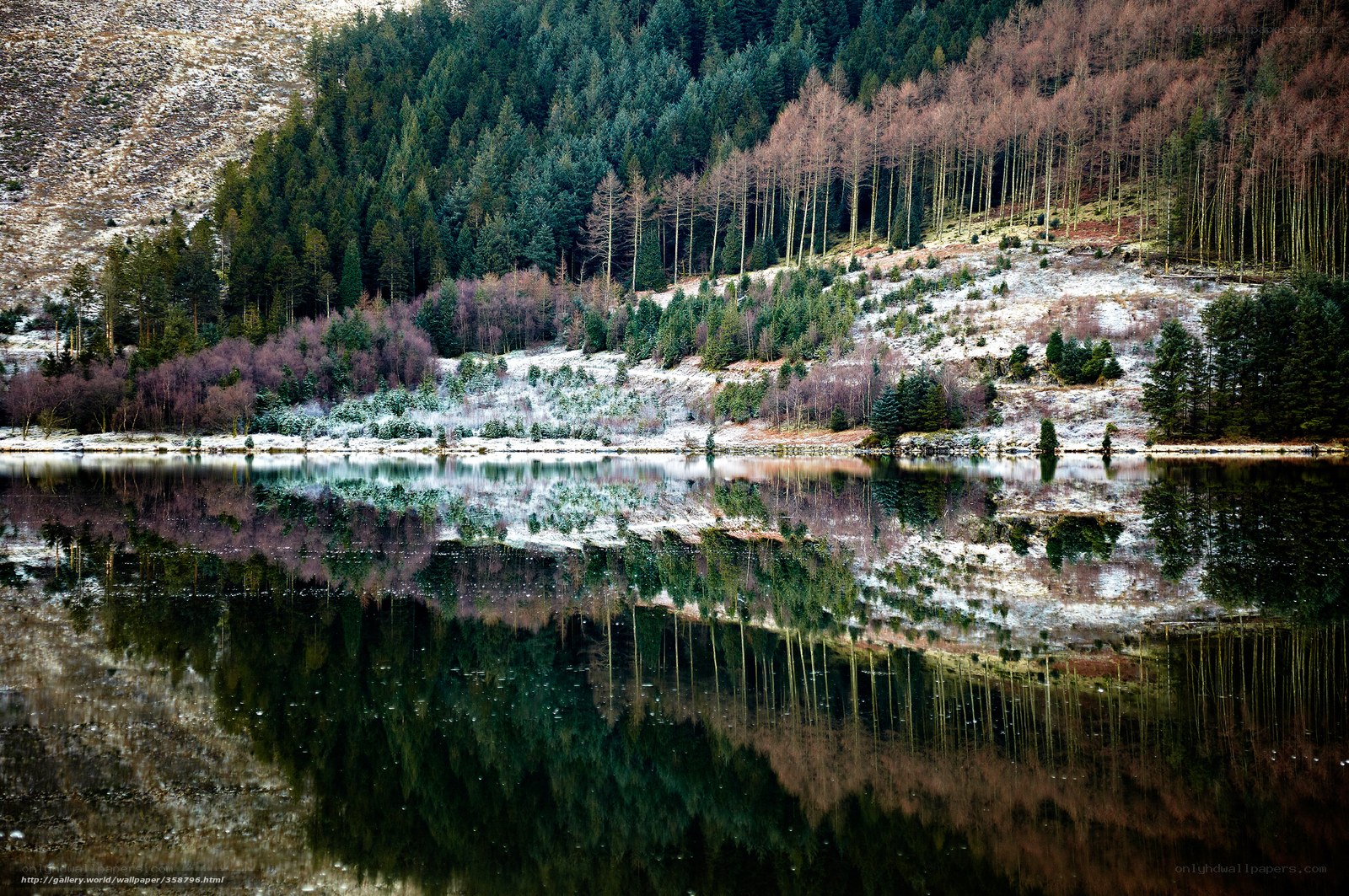 Snow-Dusted Forest Lake