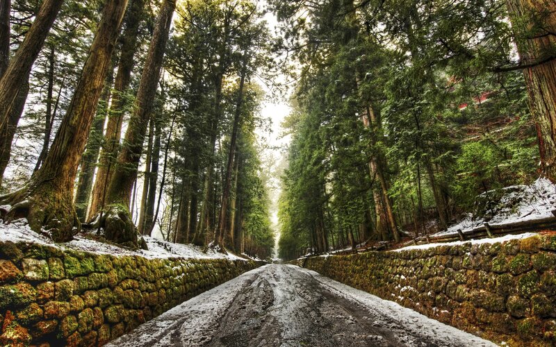 Snow-dusted Forest Road