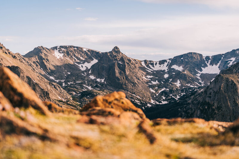 Snow-dusted Mountain Range — Brown