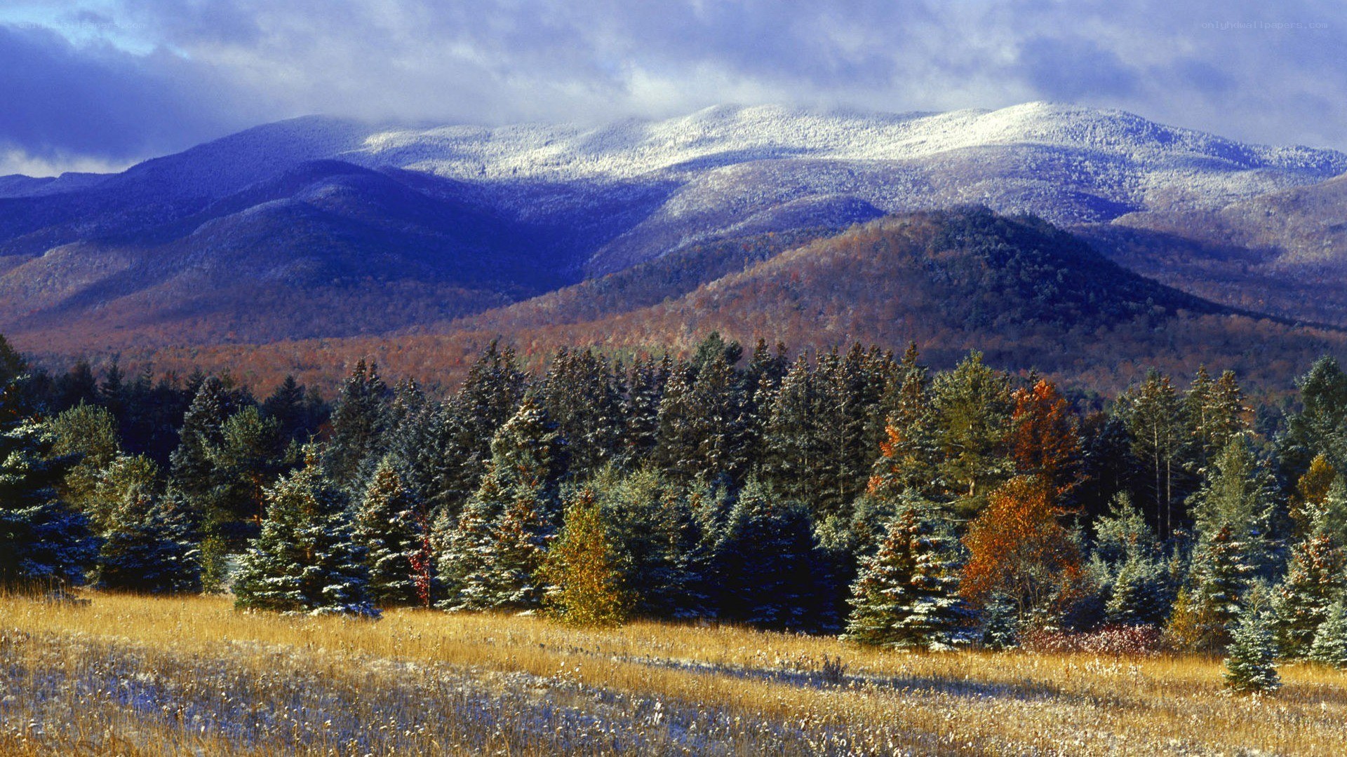 Snow-dusted mountains in autumn