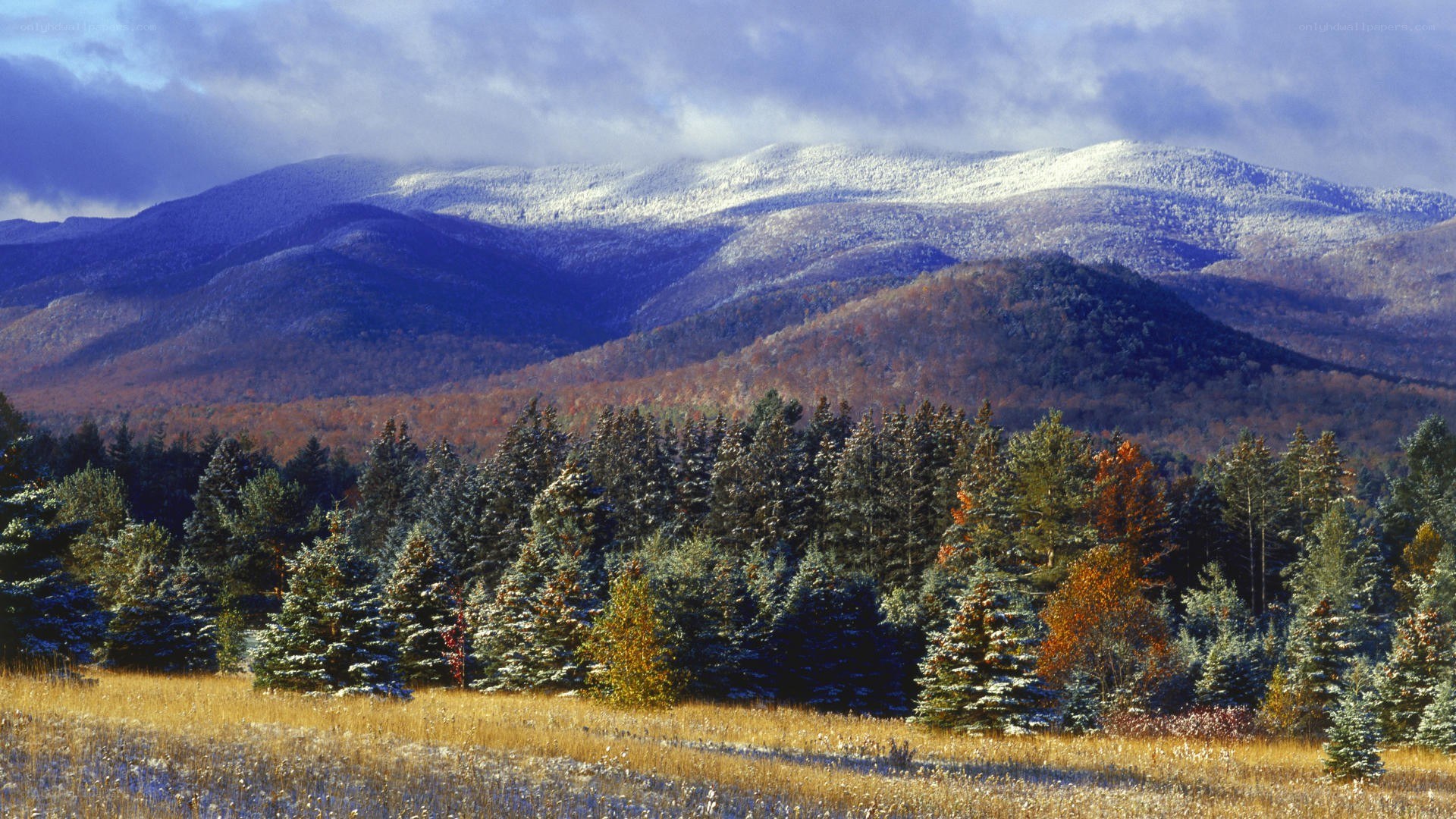 Snow-dusted mountains in autumn