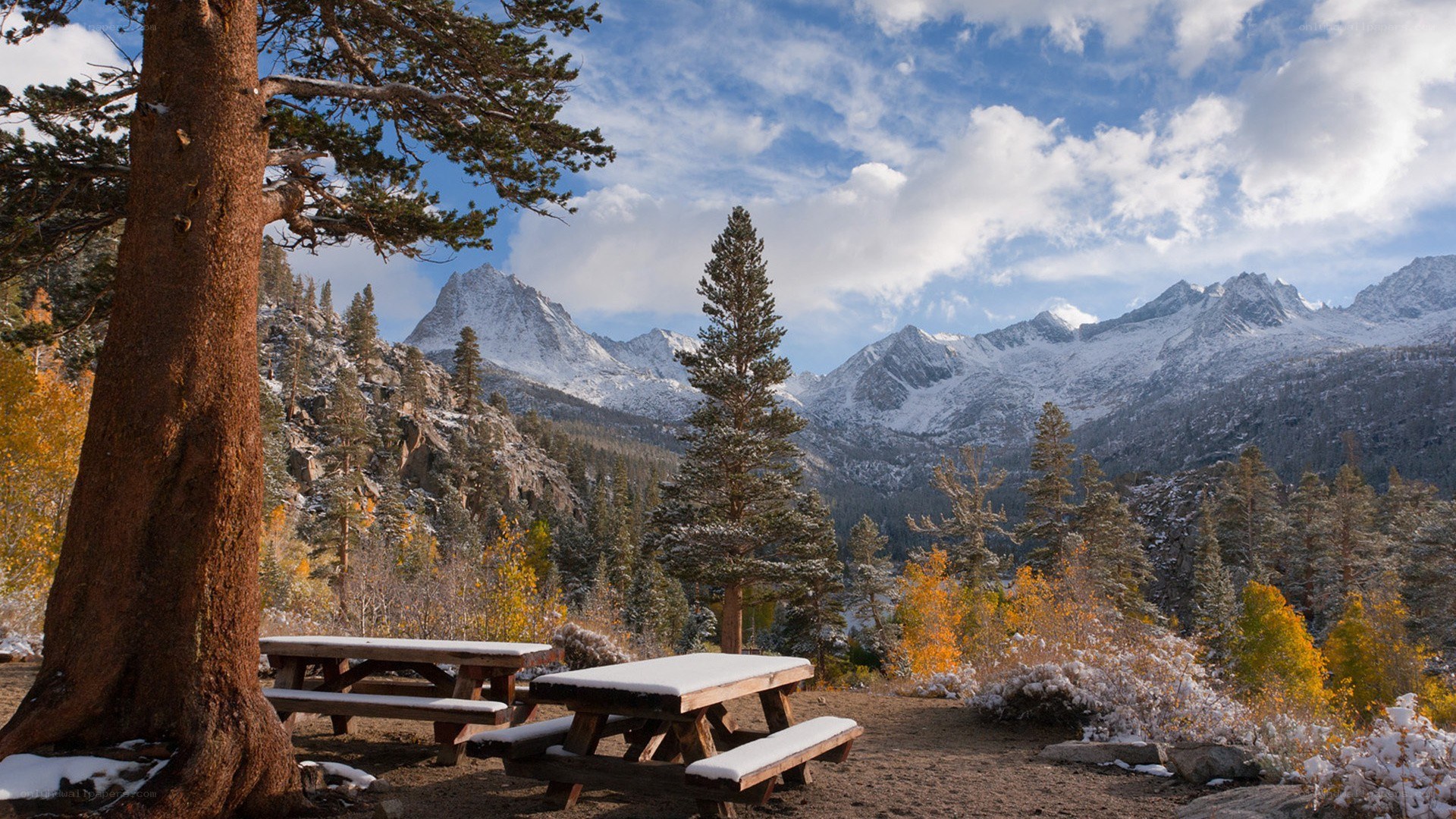 Snow-dusted picnic tables in mountains