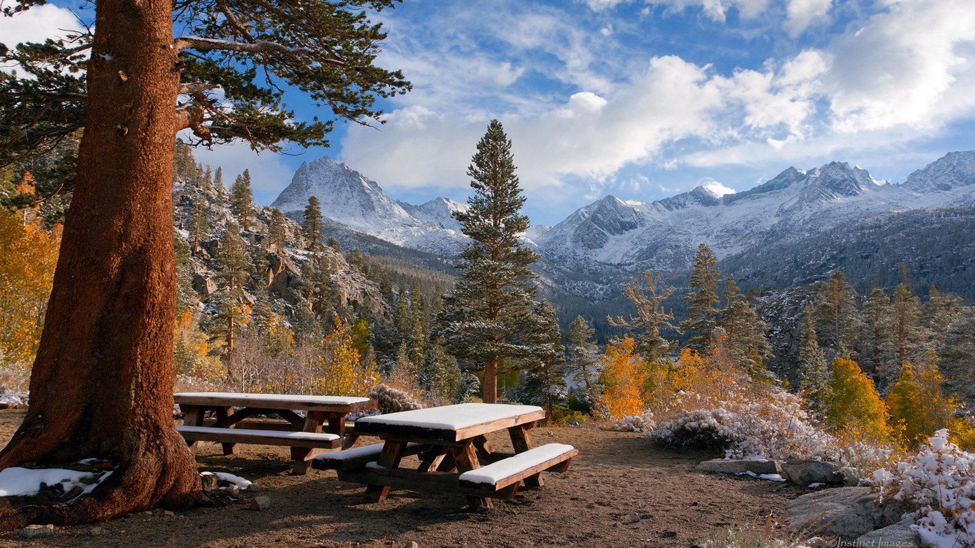 Snow-dusted picnic tables in mountains