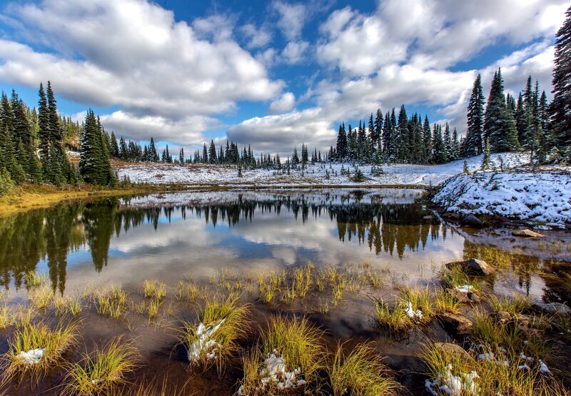 Snow-dusted Pond Reflection