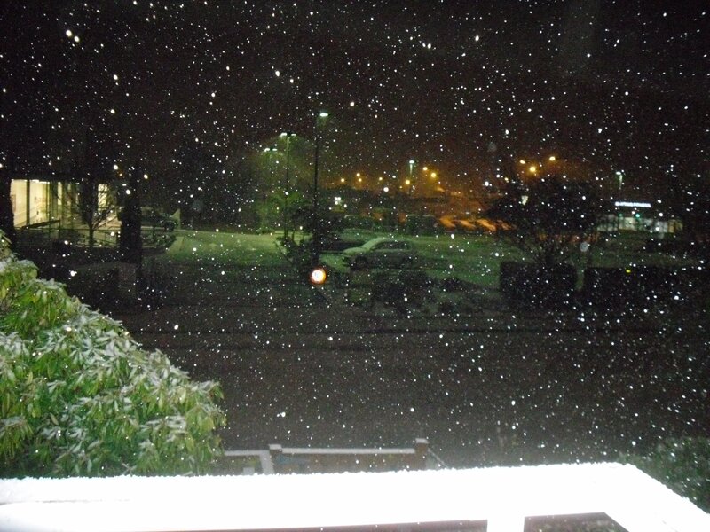 Snow falling at night