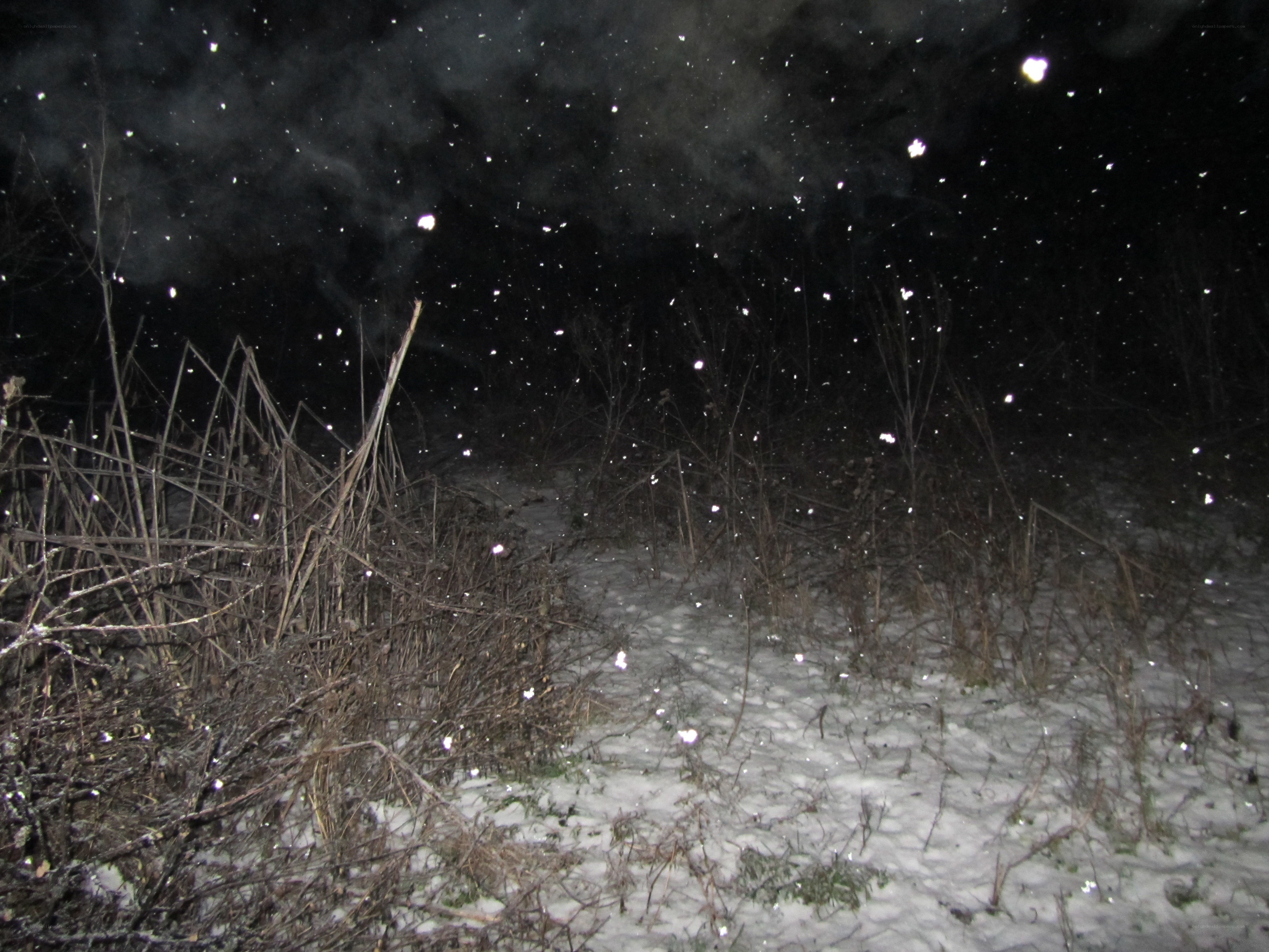 Snow falling at night
