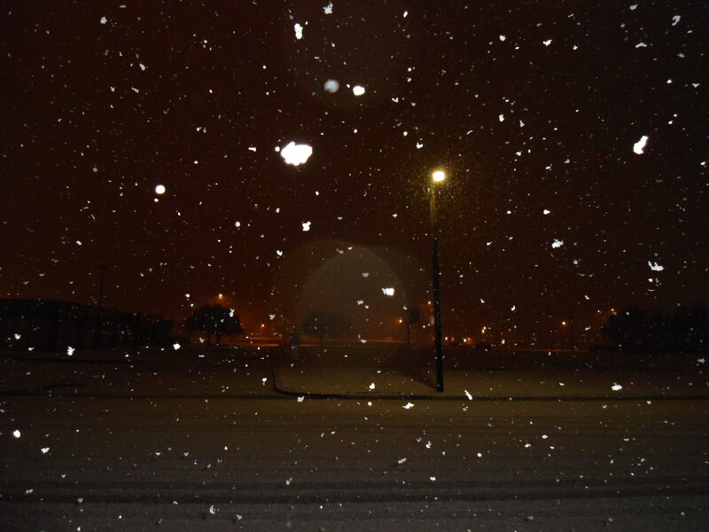 Snow Falling at Night — Black