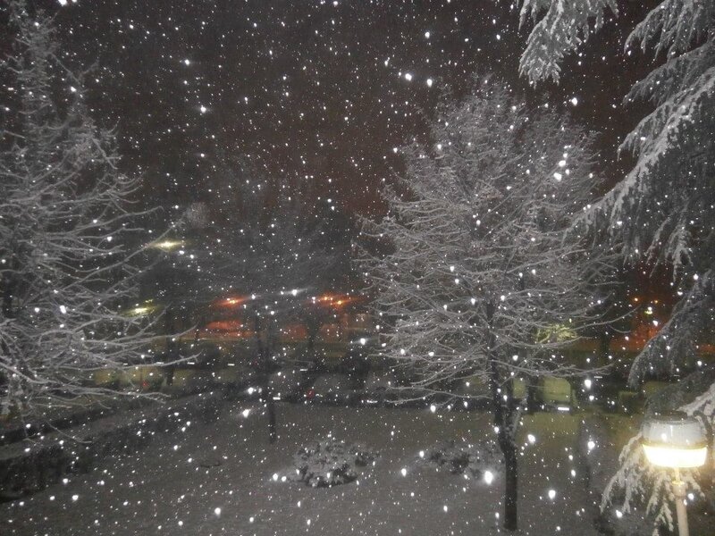 Snow Falling at Night — White, Calm, Photograph