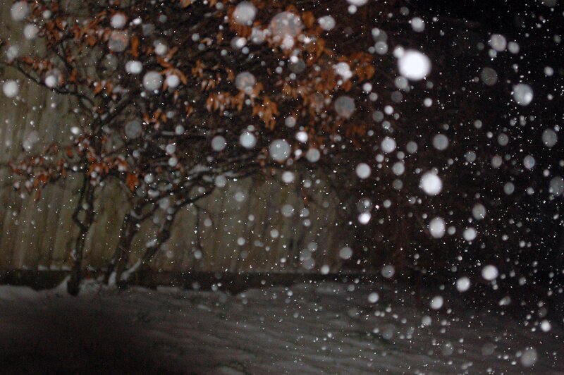 Snow Falling at Night — White, Calm