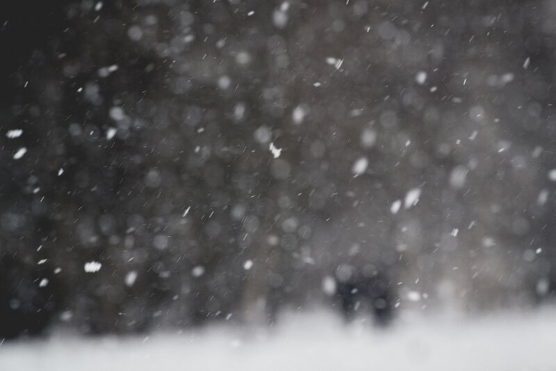 Snow falling in a dark forest