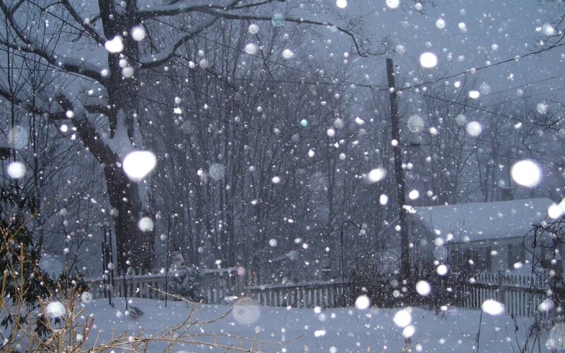 Snow falling in a quiet yard