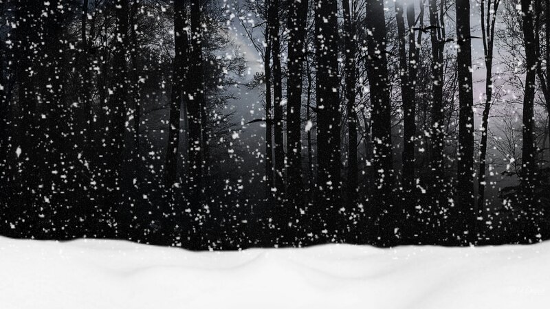 Snow Falling in Forest — Black