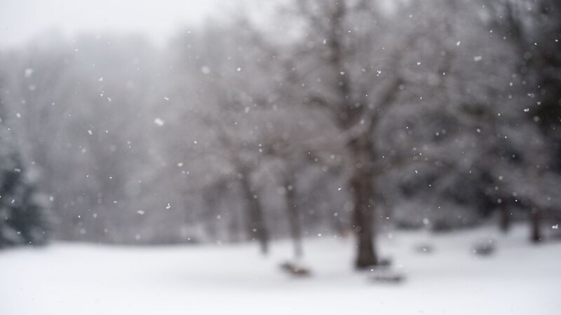 Snow Falling in Park — White