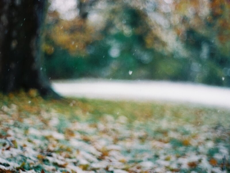 Snow Falling on Autumn Ground
