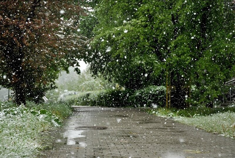 Snow Falling on Path