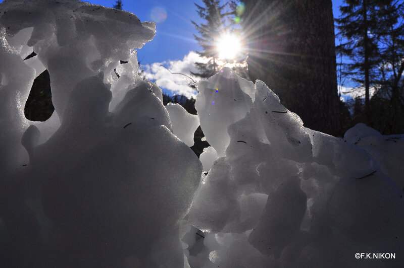 Snow Formations in Forest