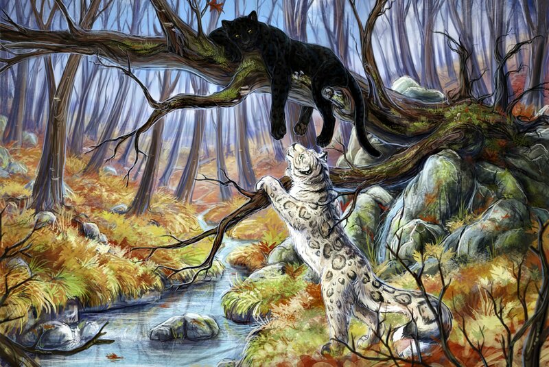 Snow Leopard and Black Panther