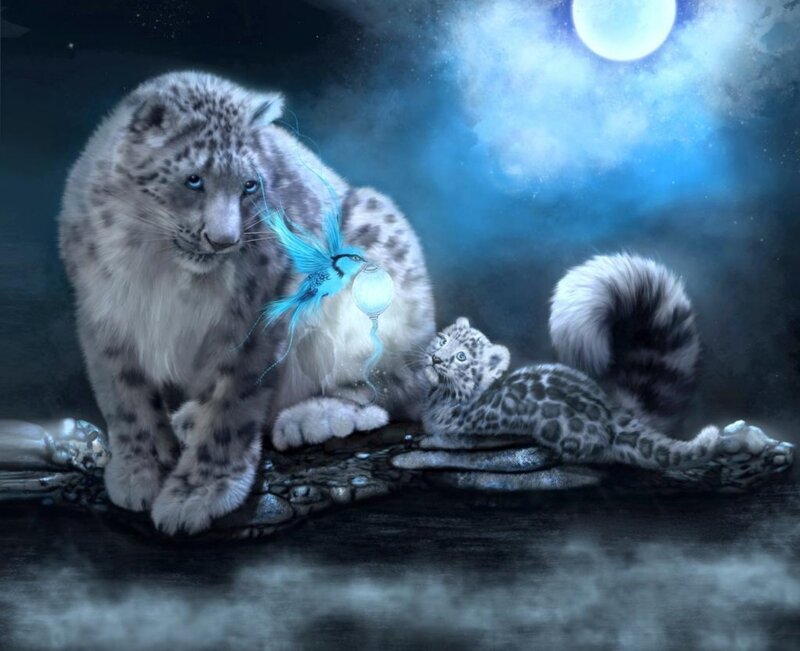 Snow Leopard and Cub — Blue, Serene, Night