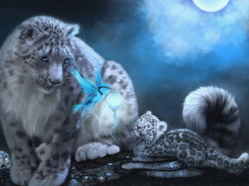 Snow Leopard and Cub — Blue
