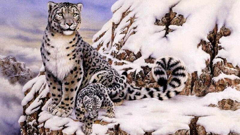 Snow Leopard and Cub — White, Serene, Winter, Illustration