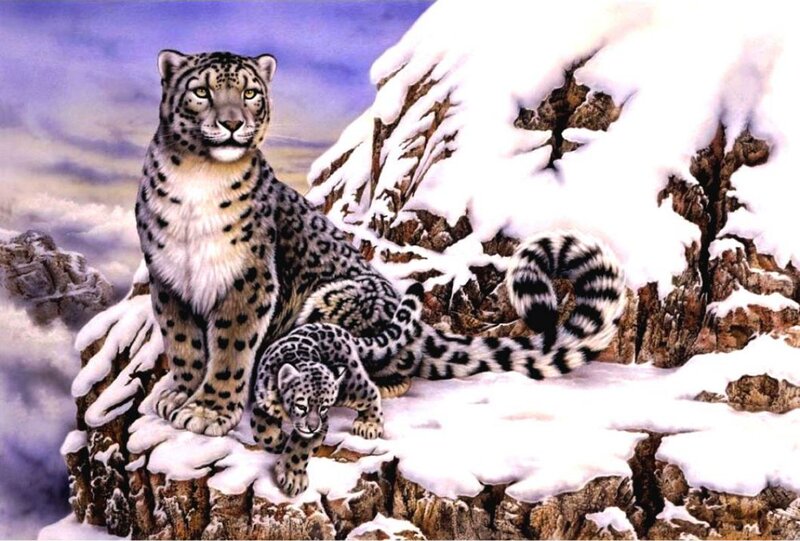 Snow Leopard and Cub — White, Serene, Winter