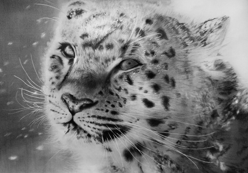 Snow Leopard Cub — Black, Calm, Winter, Illustration