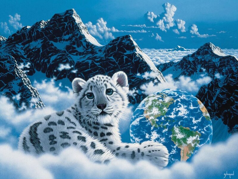 Snow Leopard Cub — Blue, Serene