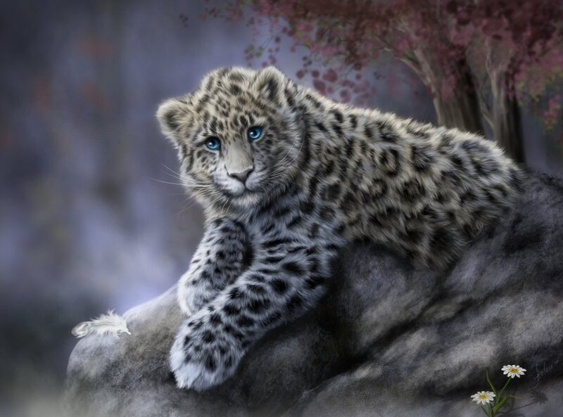Snow Leopard Cub — Gray, Serene, Spring