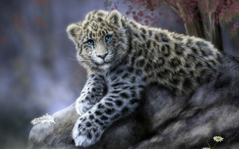 Snow Leopard Cub — Gray, Serene